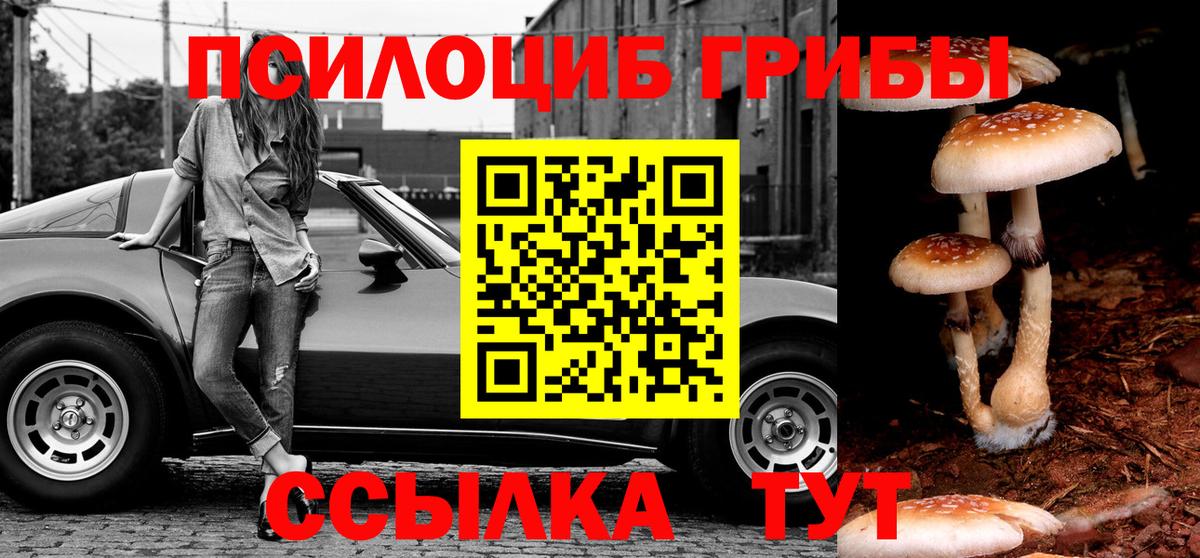 Советск  Псилоцибиновые грибы мухоморы  Вход с VPN  где купить наркотик  Галлюциногенные грибы Cubensis 